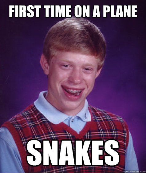 First time on a plane snakes  Bad Luck Brian