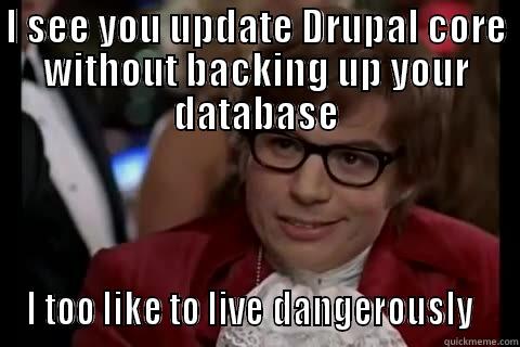 I SEE YOU UPDATE DRUPAL CORE WITHOUT BACKING UP YOUR DATABASE I TOO LIKE TO LIVE DANGEROUSLY   Dangerously - Austin Powers