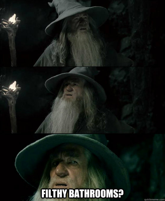  Filthy Bathrooms?  Confused Gandalf