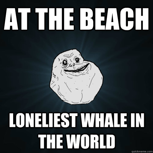 at the beach  loneliest whale in the world  Forever Alone