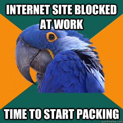 Internet site blocked at work Time to start packing  Paranoid Parrot