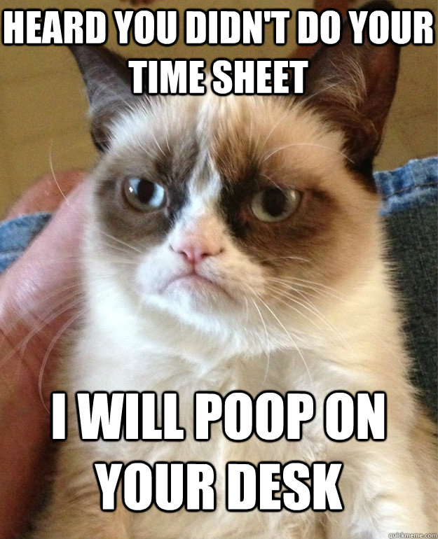 Heard you didn't do your time sheet i will poop on your desk  Grumpy Cat