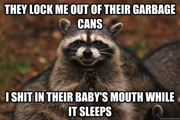 they lock me out of their garbage cans I shit in their baby's mouth while it sleeps  Evil Plotting Raccoon