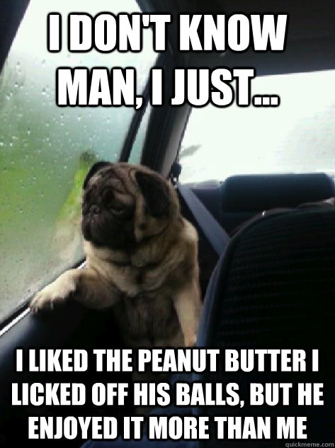 I don't know man, I just... I liked the peanut butter I licked off his balls, but he enjoyed it more than me - I don't know man, I just... I liked the peanut butter I licked off his balls, but he enjoyed it more than me  Introspective Pug