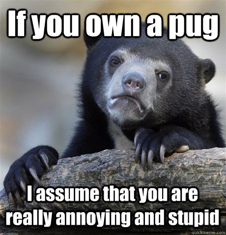 If you own a pug I assume that you are really annoying and stupid  Confession Bear