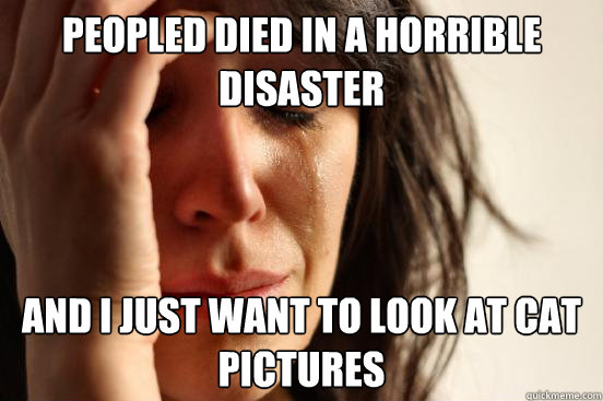 Peopled died in a horrible disaster And I just want to look at cat pictures  First World Problems