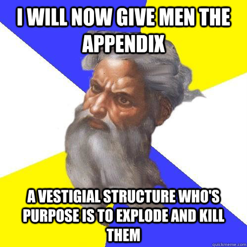 I will now give men the appendix  a vestigial structure who's purpose is to explode and kill them - I will now give men the appendix  a vestigial structure who's purpose is to explode and kill them  Advice God