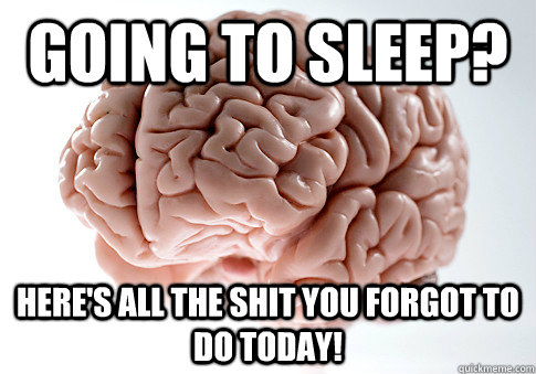 Going to sleep? Here's all the shit you forgot to do today!  Scumbag Brain