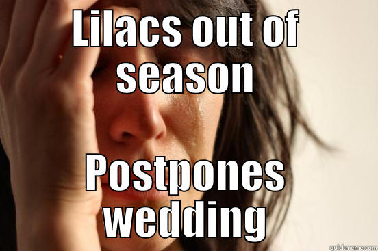 LILACS OUT OF SEASON POSTPONES WEDDING First World Problems