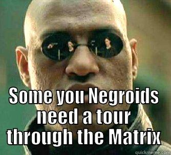  SOME YOU NEGROIDS NEED A TOUR THROUGH THE MATRIX Matrix Morpheus