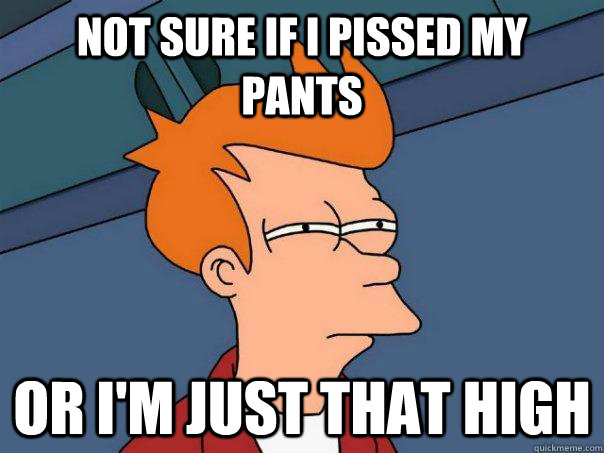 Not sure if I pissed my pants Or I'm just that high  Futurama Fry