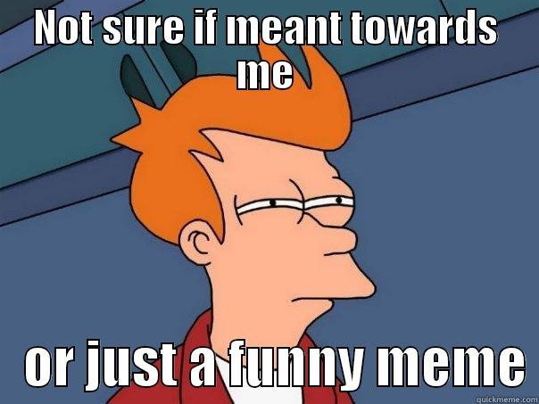 NOT SURE IF MEANT TOWARDS ME    OR JUST A FUNNY MEME Futurama Fry