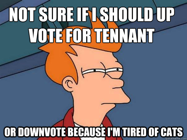 Not sure if I should up vote for Tennant or downvote because I'm tired of cats  Futurama Fry