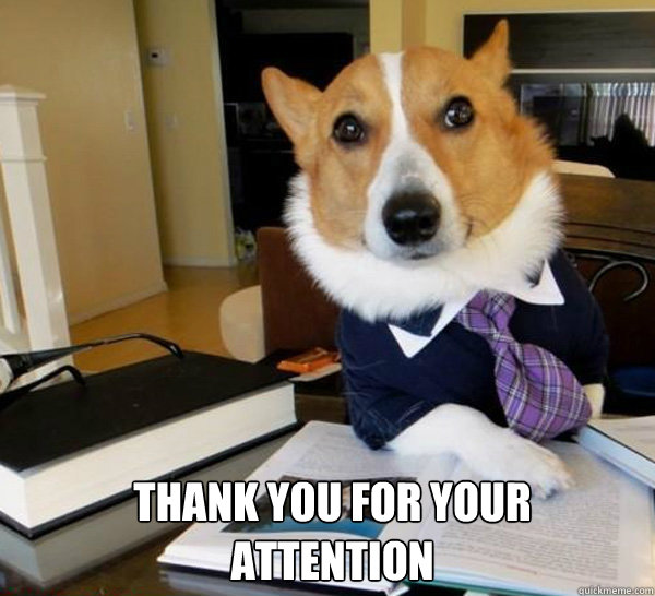 Thank you for your 
attention  Lawyer Dog