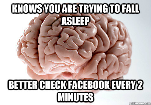 knows you are trying to fall asleep  Better check Facebook every 2 minutes - knows you are trying to fall asleep  Better check Facebook every 2 minutes  Scumbag Brain