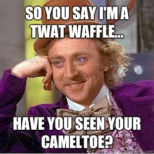 So you say I'm a twat waffle... Have you seen your cameltoe?   Condescending Wonka