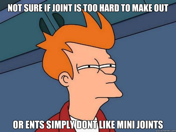 not sure if joint is too hard to make out or ents simply dont like mini joints - not sure if joint is too hard to make out or ents simply dont like mini joints  Futurama Fry