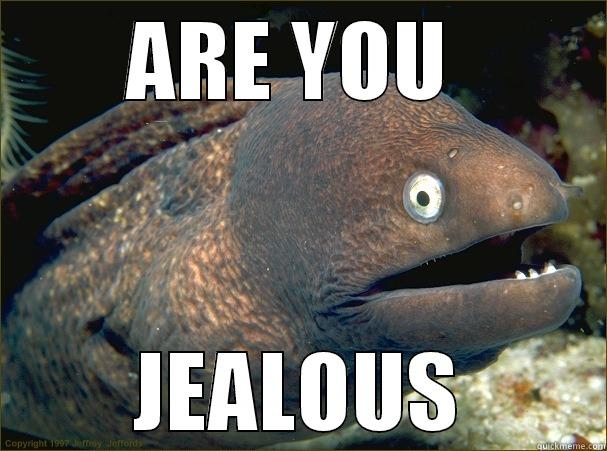 ARE YOU  JEALOUS Bad Joke Eel