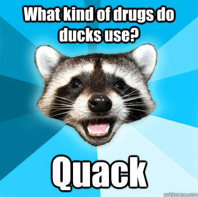 What kind of drugs do ducks use? Quack - What kind of drugs do ducks use? Quack  Lame Pun Coon