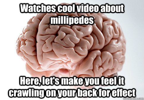 Watches cool video about millipedes Here, let's make you feel it crawling on your back for effect  Scumbag Brain