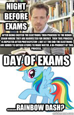 night before exams Day of exams after being excited the electrons then proceed to the redox chain where they are harvested for energy, then this process is repeated after photosystem 1, but at the end the electrons are added to oxygen atoms to make water, - night before exams Day of exams after being excited the electrons then proceed to the redox chain where they are harvested for energy, then this process is repeated after photosystem 1, but at the end the electrons are added to oxygen atoms to make water,  Misc