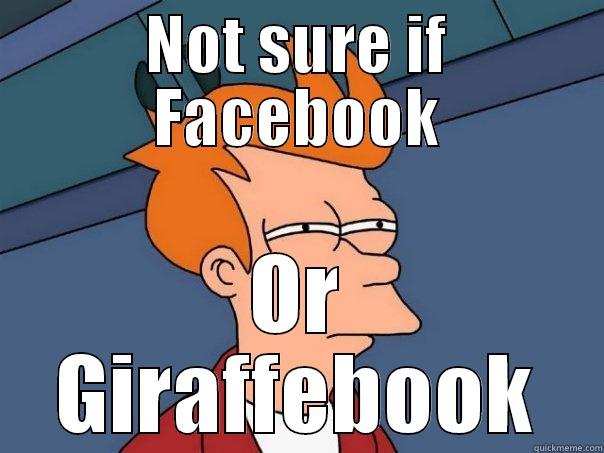 NOT SURE IF FACEBOOK OR GIRAFFEBOOK Futurama Fry