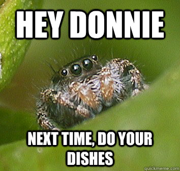 Hey Donnie Next time, do your dishes  Misunderstood Spider