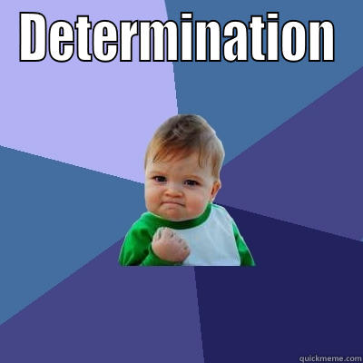 DETERMINATION  Success Kid