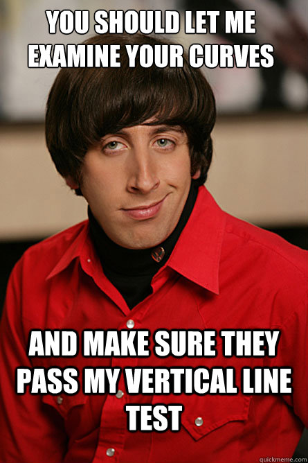 you should Let me examine your curves and make sure they pass my vertical line test - you should Let me examine your curves and make sure they pass my vertical line test  Pickup Line Scientist