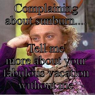 Vacationing without me - COMPLAINING ABOUT SUNBURN.... TELL ME MORE ABOUT YOUR FABULOUS VACATION WITHOUT ME Condescending Wonka