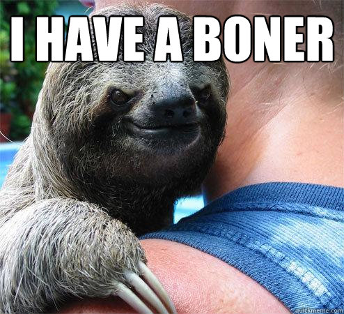 I have a boner   - I have a boner    Suspiciously Evil Sloth