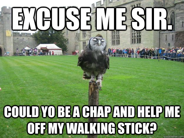 excuse me sir. could yo be a chap and help me off my walking stick?  