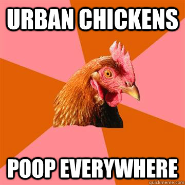 urban chickens poop everywhere  Anti-Joke Chicken