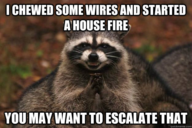 I chewed some wires and started a house fire You may want to escalate that  Evil Plotting Raccoon