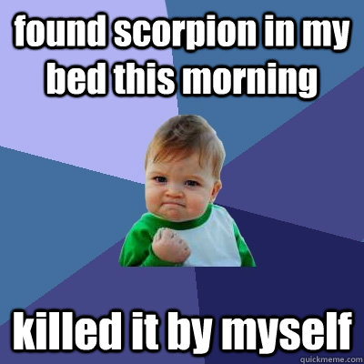 found scorpion in my bed this morning killed it by myself  Success Kid