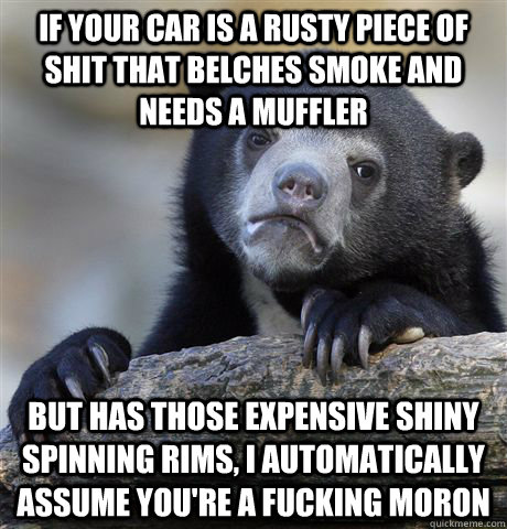 if your car is a rusty piece of shit that belches smoke and needs a muffler but has those expensive shiny spinning rims, i automatically assume you're a fucking moron  Confession Bear