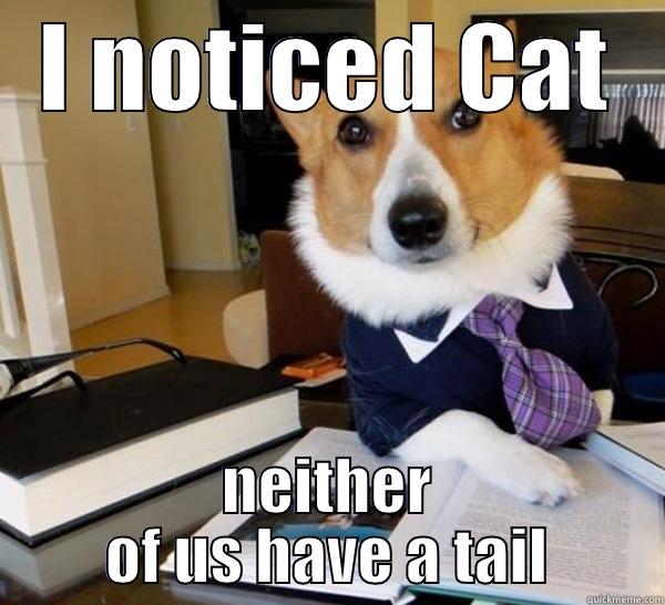 I NOTICED CAT NEITHER OF US HAVE A TAIL Lawyer Dog