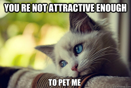 you re not attractive enough to pet me  First World Problems Cat