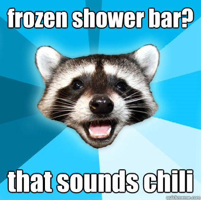 frozen shower bar? that sounds chili - frozen shower bar? that sounds chili  Lame Pun Coon