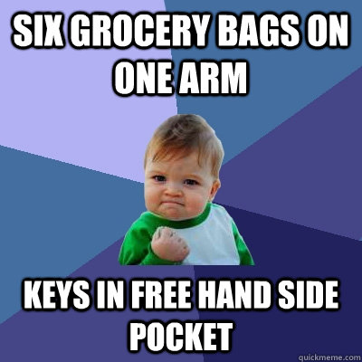 six grocery bags on one arm keys in free hand side pocket - six grocery bags on one arm keys in free hand side pocket  Success Kid