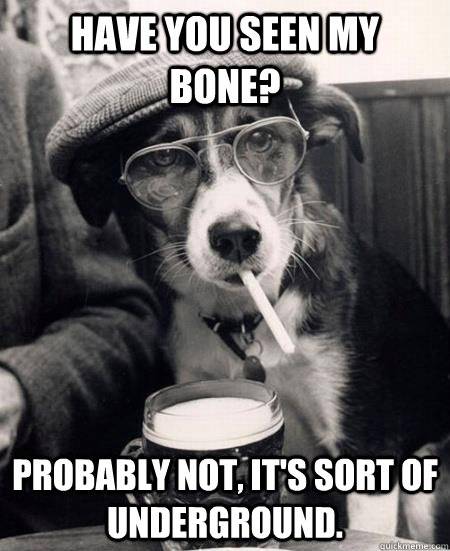 Have you seen my bone? Probably not, it's sort of underground.  