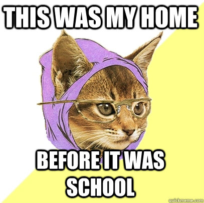 This was my home before it was school  Hipster Kitty