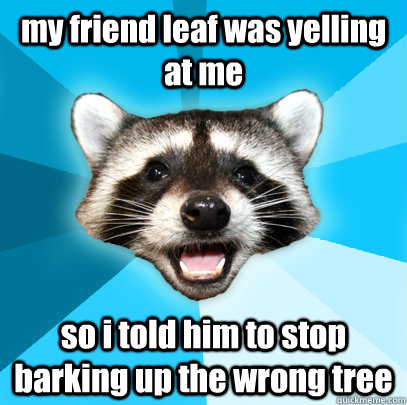 my friend leaf was yelling at me so i told him to stop barking up the wrong tree  Lame Pun Coon