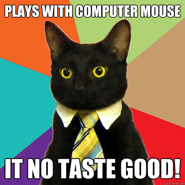 Plays with computer mouse it no taste good!  Business Cat