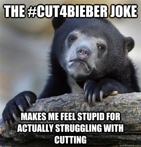 the #cut4bieber joke makes me feel stupid for actually struggling with cutting  Confession Bear