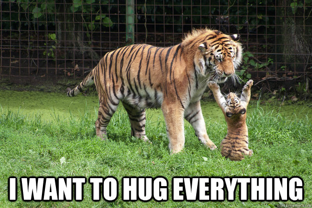  I want to hug everything -  I want to hug everything  hugeverything