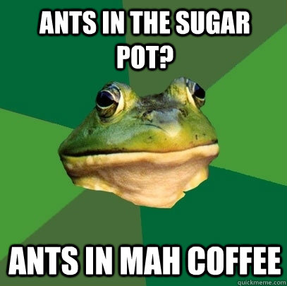 ants in the sugar pot? ants in mah coffee  Foul Bachelor Frog