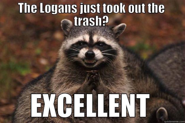 THE LOGANS JUST TOOK OUT THE TRASH? EXCELLENT Evil Plotting Raccoon