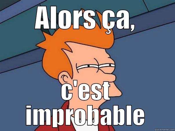 ALORS ÇA, C'EST IMPROBABLE Futurama Fry