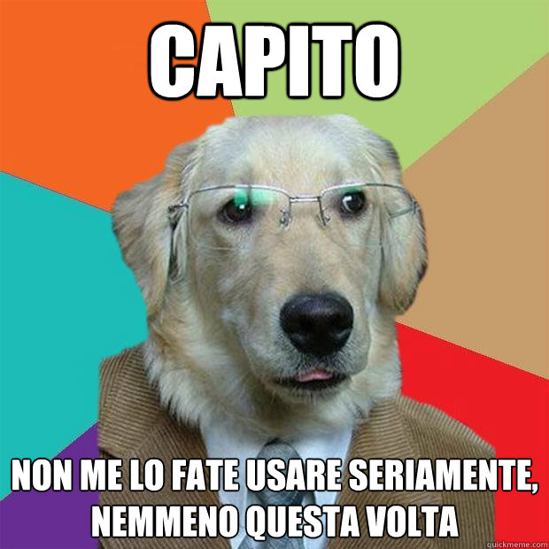 Capito non me lo fate usare seriamente, nemmeno questa volta  Business Dog